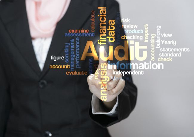 word cloud of various terms including "audit" (largest), "information",  "analysis", "account", and other related terms